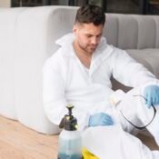 Spray for bed bugs before travel