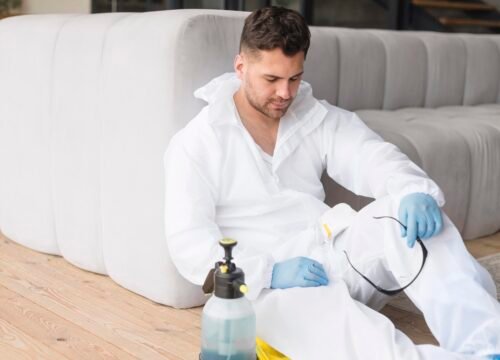 When Should You Spray for Bed Bugs Before Travel? A Smart Traveller’s Guide