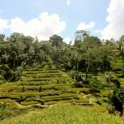best time to visit bali for cheap flights