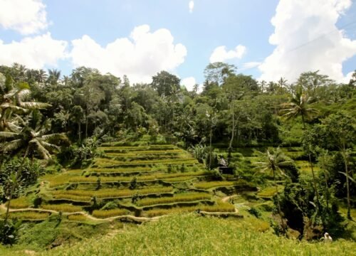 Best Time to Visit Bali for Cheap Flights: Month-by-Month Guide (2026)
