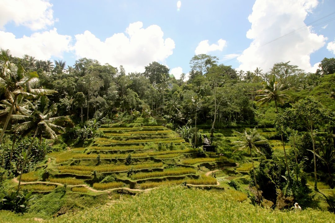 best time to visit bali for cheap flights